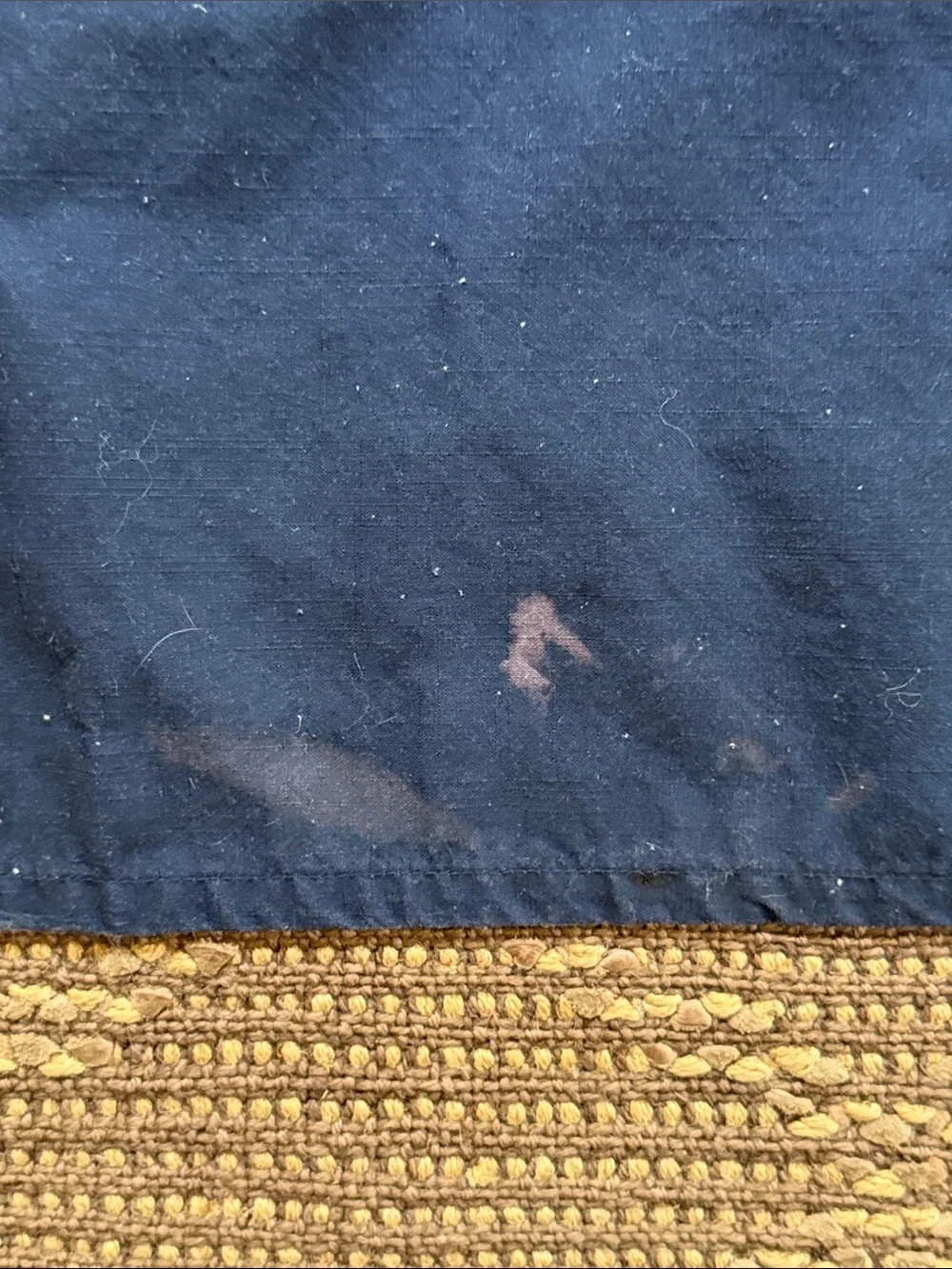 Anthropologie Navy/Orange Cheetah Print shower curtain discontinued